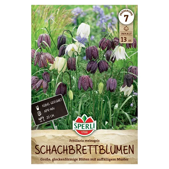 Sperli Blumenzwiebeln Schachbrettblume - Fritillaria meleagris, Violett, Weiß, Anzahl Blumenzwiebeln: 13 Stk. - Fritillaria meleagris (Schachbrettblumen) mit lila-weißen Blüten, Verpackung zeigt 'kübelgeeignet', 'Apr-Mai', '20 cm', '13 St.'