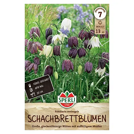 Sperli  Blumenzwiebeln Schachbrettblume