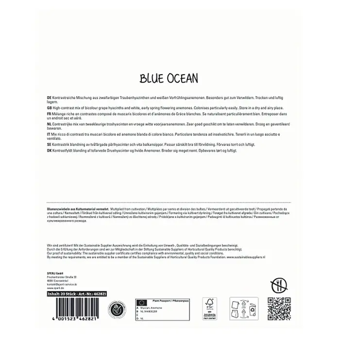 Sperli Blumenzwiebeln Maxi Blue Ocean Mix - Anzahl Blumenzwiebeln: 20 Stk., Weiß, Blau - Packung mit 20 'BLUE OCEAN' Blumenzwiebeln für zweifarbige Traubenhyazinthen und weiße Anemonen.