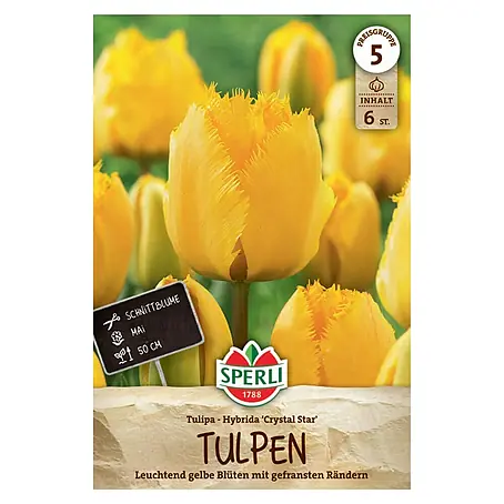 Sperli  Blumenzwiebeln Gefranste Tulpe Crystal Star