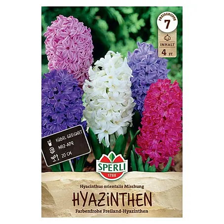 Sperli  Blumenzwiebeln Hyazinthen Mischung