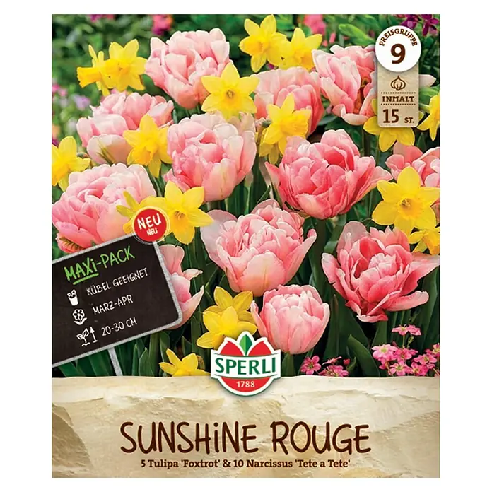 Sperli Blumenzwiebeln Sunshine Rouge Mix - Anzahl Blumenzwiebeln: 15 Stk., Gelb, Rosa - Sperli 'Sunshine Rouge' Blumenzwiebel-Mix: 5 rosa gefüllte Tulpen & 10 gelbe Narzissen. MAXI-PACK mit 15 St.