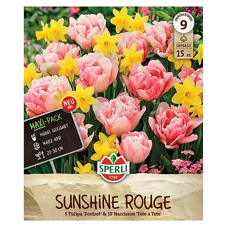 Sperli  Blumenzwiebeln Sunshine Rouge Mix