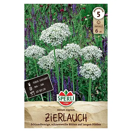 Sperli  Blumenzwiebeln Zierlauch Allium Nigrum