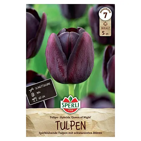 Sperli  Blumenzwiebeln