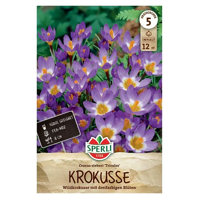 Sperli Blumenzwiebeln Wildkrokus Tricolor - Crocus sieberi, Violett/Weiß/Gelb, 12 Stk. - Krokus-Zwiebeln der Sorte 'Tricolor' für 12 Wildkrokusse mit lila, weißen und gelben Blüten auf der Verpackung.