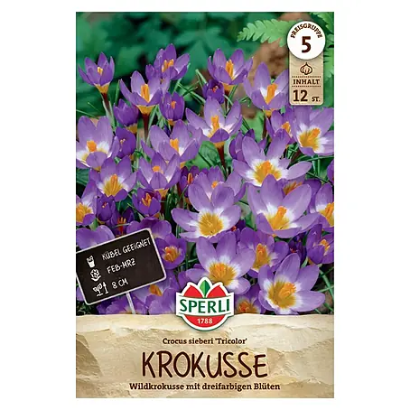 Sperli  Blumenzwiebeln Wildkrokus Tricolor