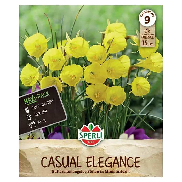 Sperli Blumenzwiebeln Reifrocknarzissen Casual Elegance - Narcissus bulbocodium - Sperli Samenpackung 'Casual Elegance' mit 15 gelben, butterblumenartigen Miniaturblüten, topfgeeignet, 20 cm hoch.