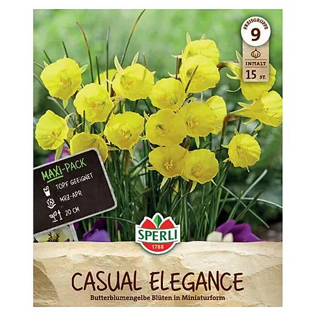 Sperli  Blumenzwiebeln Reifrocknarzissen Casual Elegance