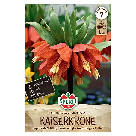 Sperli  Herbstblumenzwiebeln Kaiserkrone Rubra