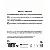 Sperli Blumenzwiebeln Narzissen Mini Mix (Narcissus pseudonarcissus, Anzahl Blumenzwiebeln: 22 Stk., Gelb) | BAUHAUS