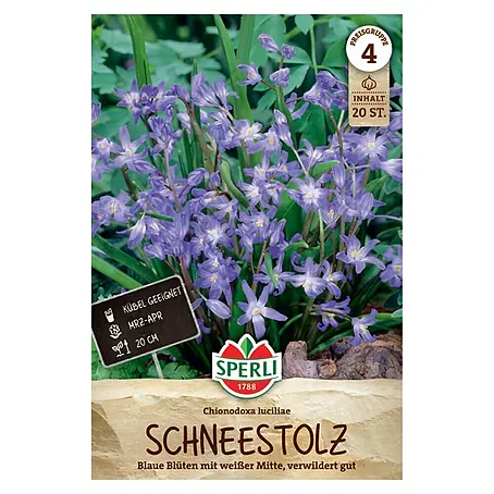 Sperli  Blumenzwiebeln Schneestolz