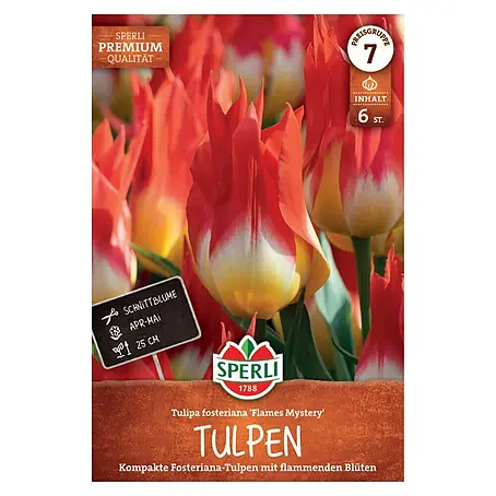 Sperli  Blumensamen Premium Fosteriana Tulpe Flames Mystery