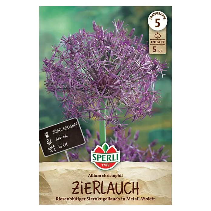 Sperli Blumensamen Zierlauch - Allium christophii, Lila - Sperli Samenpackung für Zierlauch Allium christophii, mit leuchtend violetter, sternförmiger Blüte. Kübelgeeignet, 45cm hoch, 5 Stück.