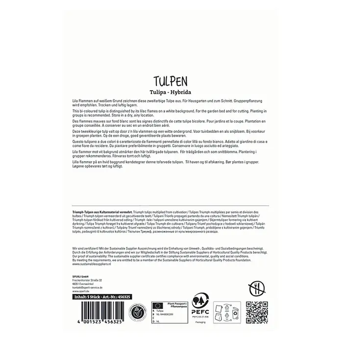 Sperli Blumenzwiebeln Triumph-Tulpe Flaming Flag - Tulipa hybrids, Lila/Weiß, 5 Stk. - Verpackung für 5 zweifarbige Triumph-Tulpenzwiebeln, beschrieben als lila Flammen auf weißem Grund.