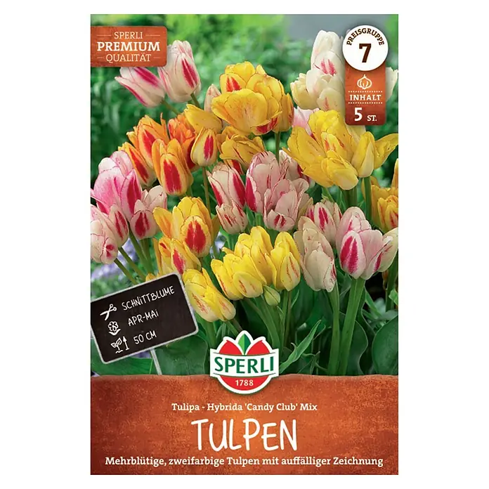 Sperli Blumenzwiebeln Einfache Späte Tulpen Candy Club Mix - Tulipa hybrids, Anzahl Blumenzwiebeln: 5 Stk., Gelb, Weiß, Rot - Mehrblütige, zweifarbige Tulpen 'Candy Club' Mix in Gelb, Rosa und Weiß mit roten Streifen.