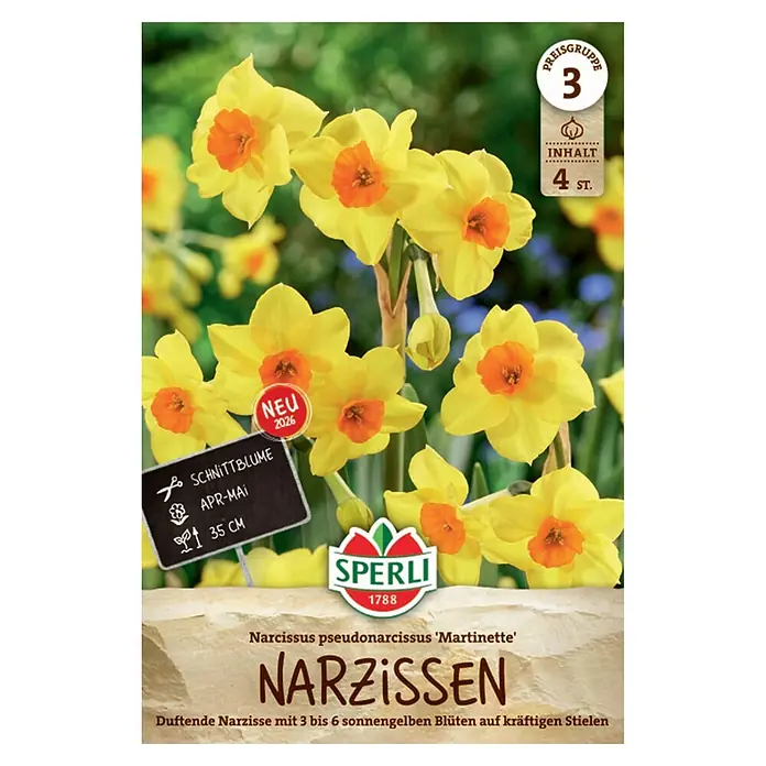 Sperli Narzissen Martinette - Narcissus pseudonarcissus, Gelb - Packung Narzissen 'Martinette' Zwiebeln, mit leuchtend gelben Blüten und orangefarbenen Trompeten. Enthält 4 Zwiebeln.