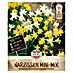 Sperli Blumenzwiebeln Narzissen Mini Mix 