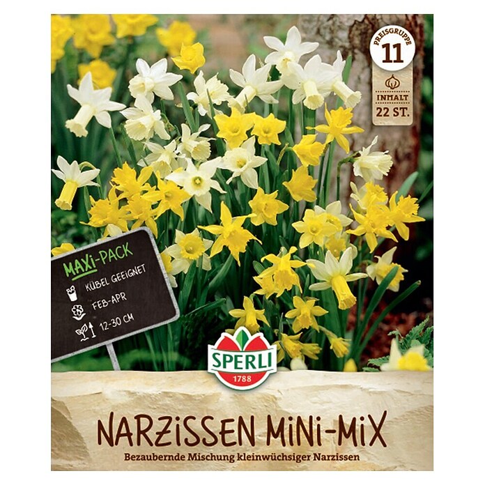 Sperli Blumenzwiebeln Narzissen Mini Mix (Narcissus pseudonarcissus, Anzahl Blumenzwiebeln: 22 Stk., Gelb) | BAUHAUS
