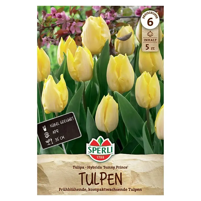 Sperli Blumenzwiebeln Einfache Frühe Tulpe Sunny Prince - Tulipa hybrids, Gelb, Anzahl Blumenzwiebeln: 5 Stk. - Gelbe Tulpen 'Sunny Prince', 5 Stück, frühblühend, kompaktwachsend, 35 cm, kübelgeeignet.