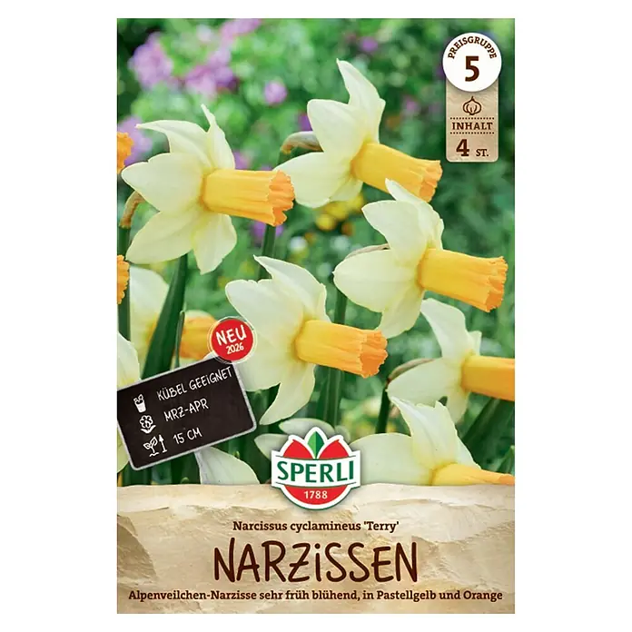 Sperli Narzissen Terry -  - Sehr früh blühende Narzissen 'Narcissus cyclamineus Terry' mit pastellgelben Blüten und orangefarbenen Trompeten, topfgeeignet.