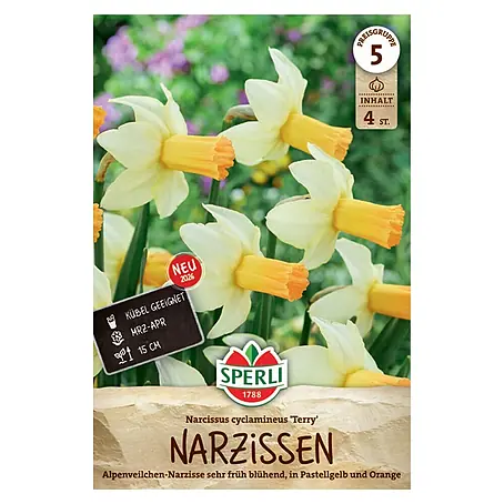Sperli  Narzissen Terry