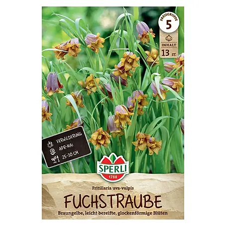Sperli  Blumenzwiebeln Fuchstraube
