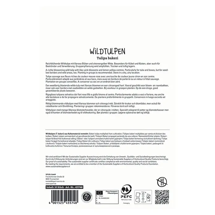 Sperli Blumenzwiebeln Wildtulpe Lilac Wonder - Tulipa bakeri, Lila-Rosa, 10 Stk. - Verpackung für 10 'Wildtulpen Tulipa bakeri' Zwiebeln, Art.-Nr. 455748.