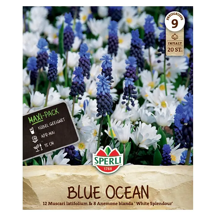 Sperli Blumenzwiebeln Maxi Blue Ocean Mix - Anzahl Blumenzwiebeln: 20 Stk., Weiß, Blau - Sperli 'Blue Ocean' Blumenzwiebelverpackung mit blauen Muscari und weißen Anemonen. Enthält 20 Zwiebeln.