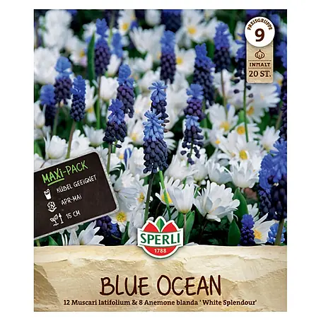 Sperli  Blumenzwiebeln Maxi Blue Ocean Mix