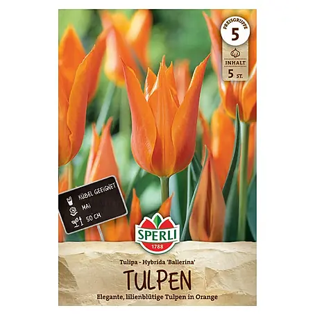 Sperli  Tulpen Ballerina