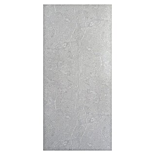 Panelna plošča Alpine Granite (60 x 270 cm, Granit)