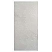 Panelna plošča Athenian Dawn  (60 x 270 cm, Svetlo siva) | 3685 - Wasserfeste Wandelemente | EAFL - Wandverkleidungen/Riemchen | EAF - Fliesen | EA - Fliesen | E - Fliesen | BAUHAUS
