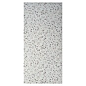 Panelna plošča Terazzo  (60 x 270 cm, Terazzo) | 3685 - Wasserfeste Wandelemente | EAFL - Wandverkleidungen/Riemchen | EAF - Fliesen | EA - Fliesen | E - Fliesen | BAUHAUS