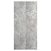 Panelna plošča Ashy  (60 x 270 cm, Pepelnata) | 3685 - Wasserfeste Wandelemente | EAFL - Wandverkleidungen/Riemchen | EAF - Fliesen | EA - Fliesen | E - Fliesen | BAUHAUS