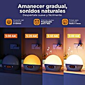 Muvit Reloj despertador WIFI BT (10,7 x 20 x 16,9 cm, Control por voz) | BAUHAUS