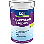 Söll Sauerstoffdepot-Tabs SauerstoffDepot (30 Stk.) | BAUHAUS