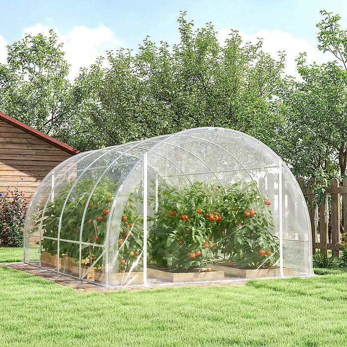 Outsunny Gewächshaus - 297 x 395 cm, Material Seitenwand: Kunststoff, 0,6 mm, Transparent - Transparentes Tunnelgewächshaus in einem Garten, das blühende Tomatenpflanzen mit reifen roten Tomaten schützt.