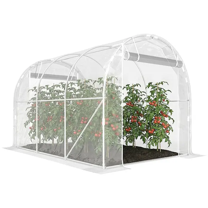 Outsunny Gewächshaus - 195 x 295 cm, Material Seitenwand: Kunststoff, 0,6 mm, Transparent - Transparentes Gewächshaus mit weißem Rahmen und Tomatenpflanzen mit roten Tomaten darin.