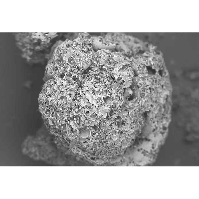 Knauf Pflanzengranulat und Bodenverbesserer Perligran Premium -  - Mikroskopische Aufnahme eines porösen, flockigen Materials mit komplexer Oberflächenstruktur.