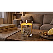 Duftkerze Citronella (Zitrone, Ø x H: 7,1 x 8 cm, 25 h) | BAUHAUS