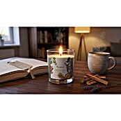 Duftkerze Citronella (Sandelholz, Ø x H: 7,1 x 8 cm, 25 h) | BAUHAUS