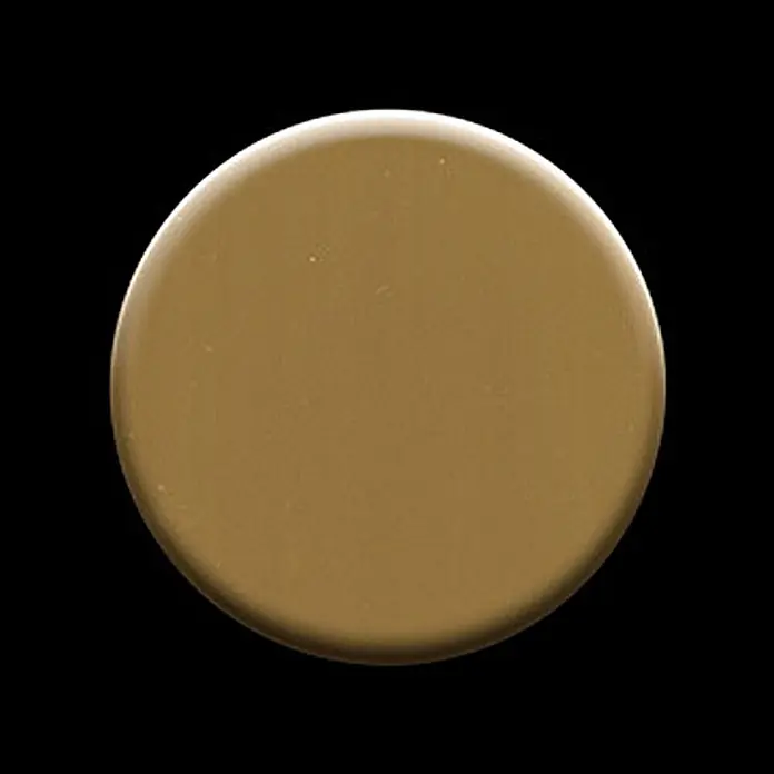 ALLOY Mosaikfliese Mosaik Fliese massiv Titan hochglänzend gold 1,6mm stark Dollar-Ti-GM - 295 x 322 mm, Gold, Hochglänzend - Runde, goldbraune Scheibe mit glatter Oberfläche.