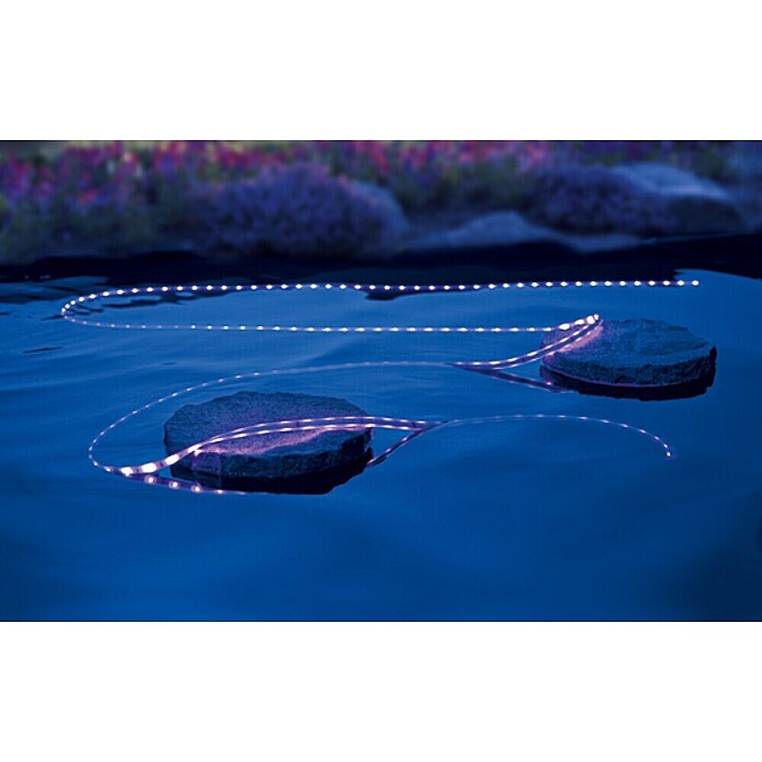 Starlux LED trak  (Dolžina: 5 m, Barva svetlobe: RGB, 22 W) | LED trakovi | Dekorativna razsvetljava | Elektro in svetila | Izdelki | BAUHAUS