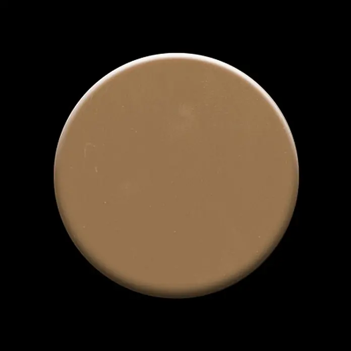 ALLOY Mosaikfliese Mosaik Fliese massiv Metall Titan hochglanz kupfer 1,6mm Medallion-Ti-AM - 313 x 256 mm, Bronze, Hochglänzend - Glatte, runde, hellbraune Kosmetikpfanne, wie Foundation oder Concealer.