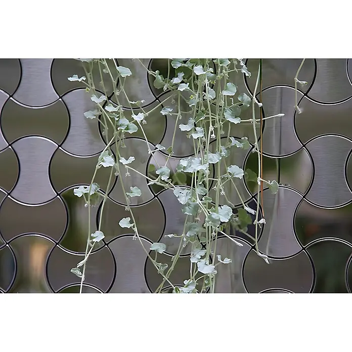 ALLOY Mosaikfliese Mosaik Fliese massiv Metall Edelstahl hochglänzend grau 1,6mm Infinit-S-S-M - 322 x 322 mm, Grau, Silber, Hochglänzend - Hängepflanze mit silbergrauen Blättern vor einer Metallwand mit Ziermuster.