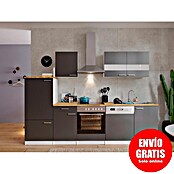 Respekta Composición de cocina (Ancho: 280 cm, Con dispositivos eléctricos, Gris)