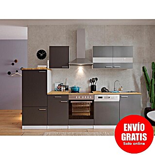 Respekta Composición de cocina Malia (Ancho: 280 cm, Gris, Con electrodomésticos, Decoración encimera: Efecto madera, Volumen horno: 72 l)