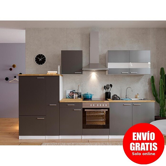 Respekta Composición de cocina (Ancho: 300 cm, Con dispositivos eléctricos, Gris)