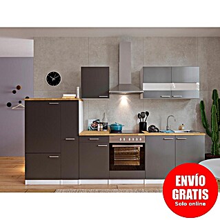 Respekta Composición de cocina Malia (Ancho: 300 cm, Gris, Con electrodomésticos, Decoración encimera: Efecto madera, Volumen horno: 72 l)